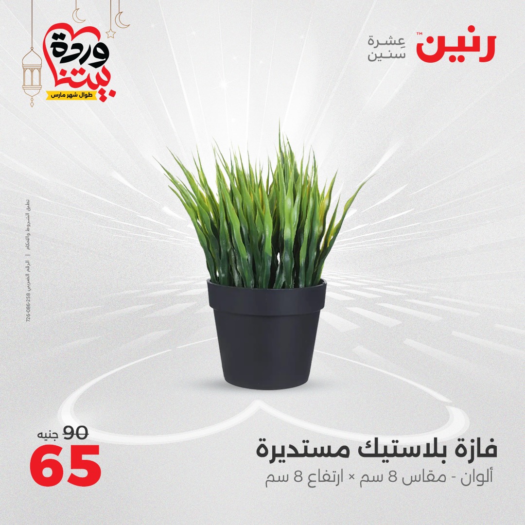 raneen offers from 27mar to 29mar 2025 عروض رنين من 27 مارس حتى 29 مارس 2025 صفحة رقم 153